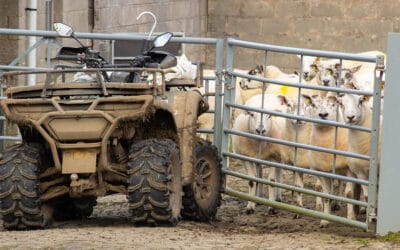 7 Ways to Protect Your Quad Bike or ATV from Rural Theft